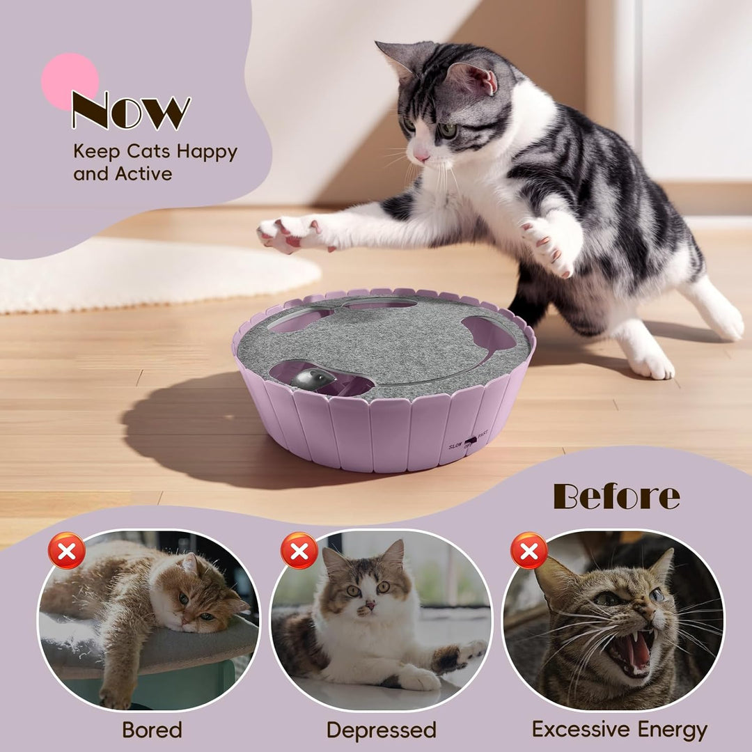 Pawaboo Katzenspielzeug Elektrische Maus, Interaktiv Kätzchen Spielzeug Katzenbett Kratzmatte Katzen