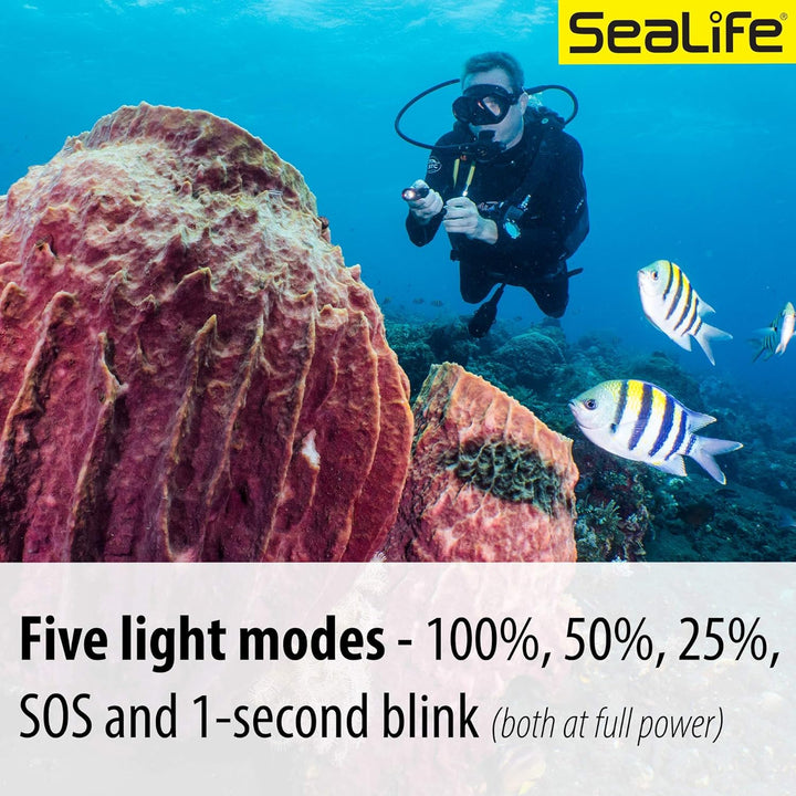 SeaLife Sea Dragon Mini 900 Power Kit