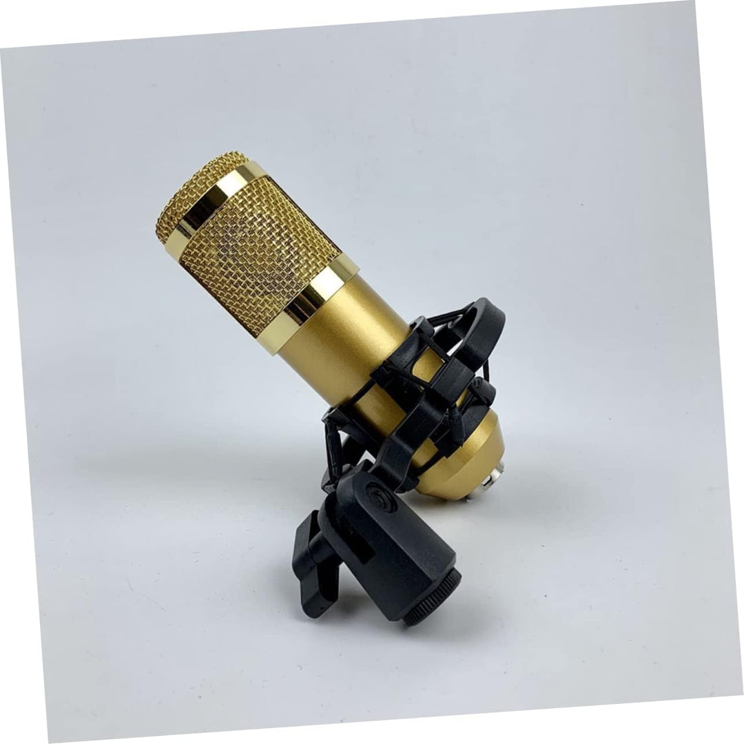 ibasenice Gold Bm-800 mit Doppellagigem Netzdesign, Kondensatormikrofon