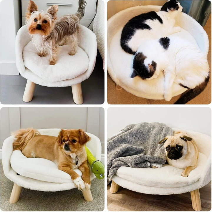 BingoPaw Hundesofa Hundecouch für kleine Hunde, erhöhtes Haustiersofa Hundebett mit Plüsch Hundekiss