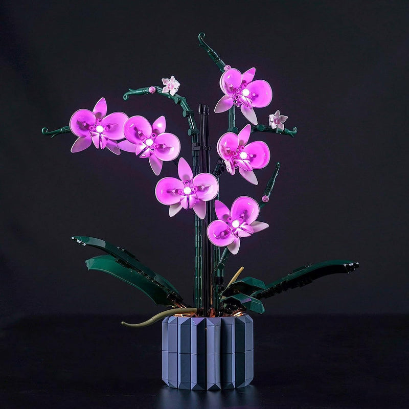 Led Licht Set Kompatibel mit Lego Orchidee (Nur Lichter, kein Baustein), Licht-Kit Compatible with L