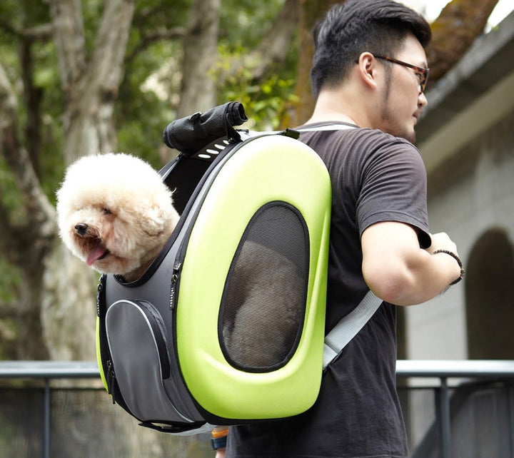 Ibiyaya 5-in-1 Transportbox für Haustiere, aus EVA