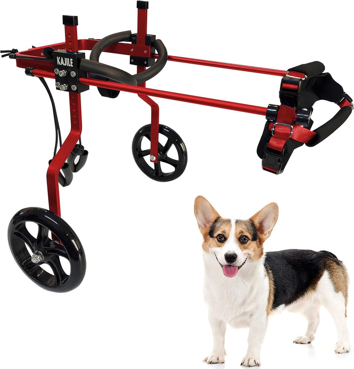 KAJILE Verstellbarer 2-Rad-Hunderollstuhl, M-2 Grösse für behinderte Hunde Hinterbeine Rehabilitatio