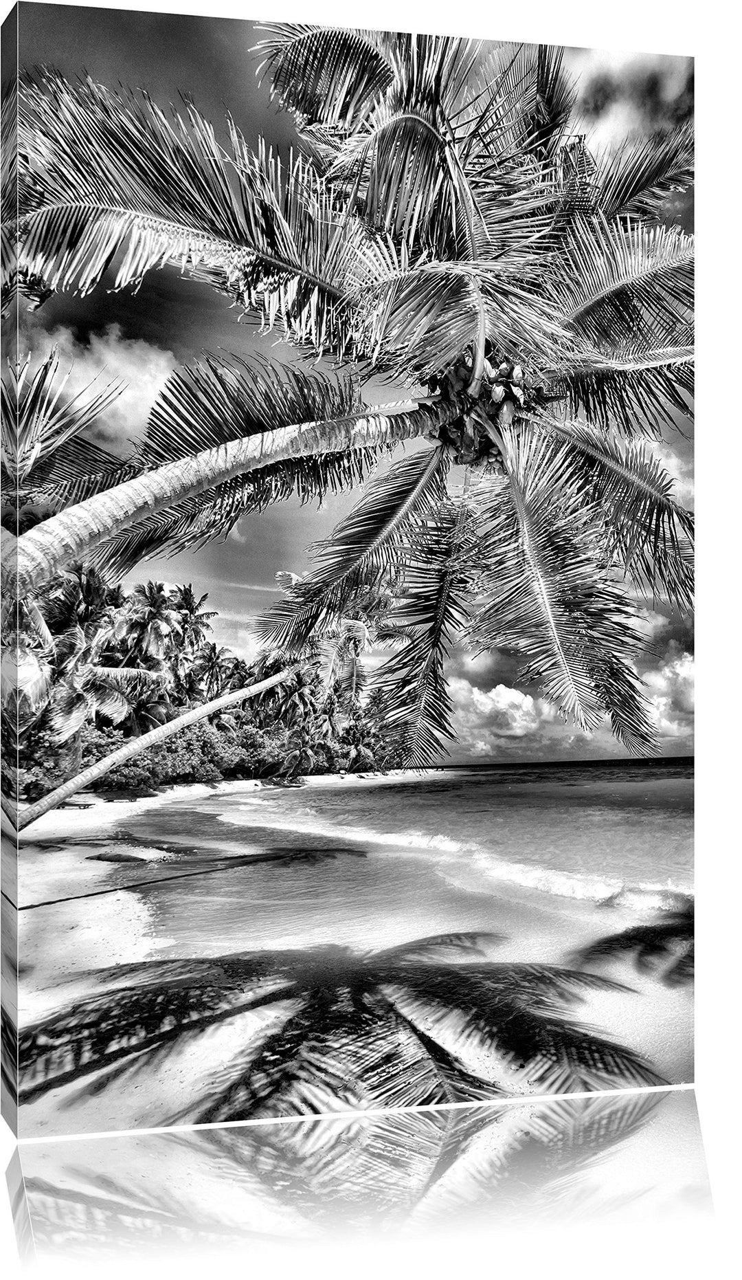 Monocrome, Palmenstrand, Format: 100x70 auf Leinwand, XXL riesige Bilder fertig gerahmt mit Keilrahm