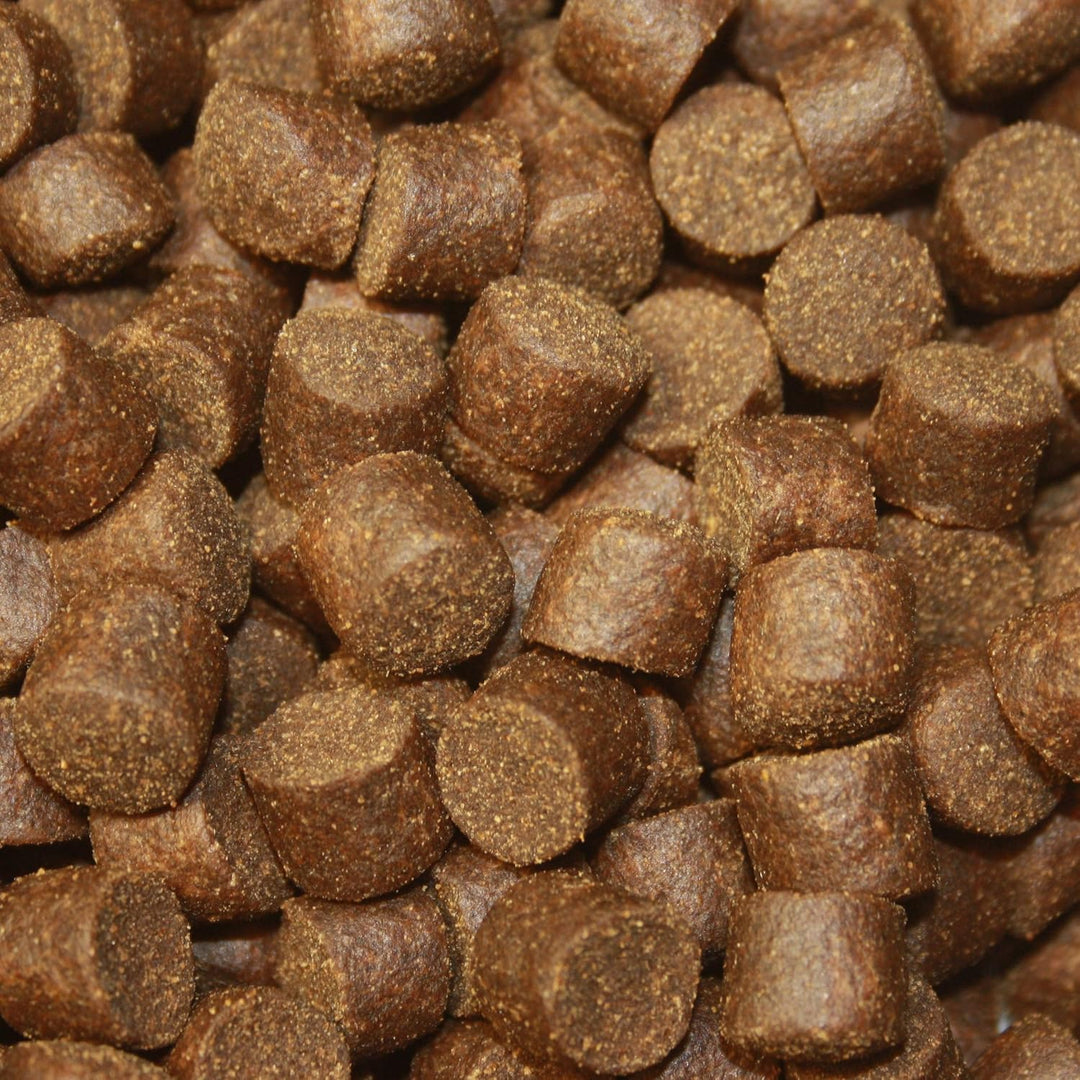 Störfutter extragross 10mm Störsinkfutter, Tomodachi Premium Energiefutter für Störe, deutsche Top Q