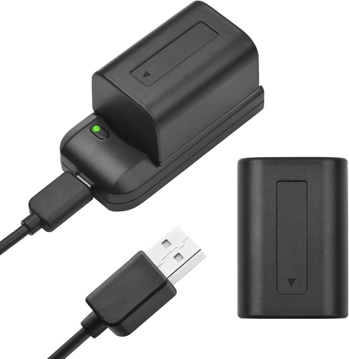 Andoer NP-FV5 Akku-Ladegerät mit LED-Anzeigeleuchte + 2 x NP-FV5 Plus 3,7 V 1000 mAh mit USB-Ladekab