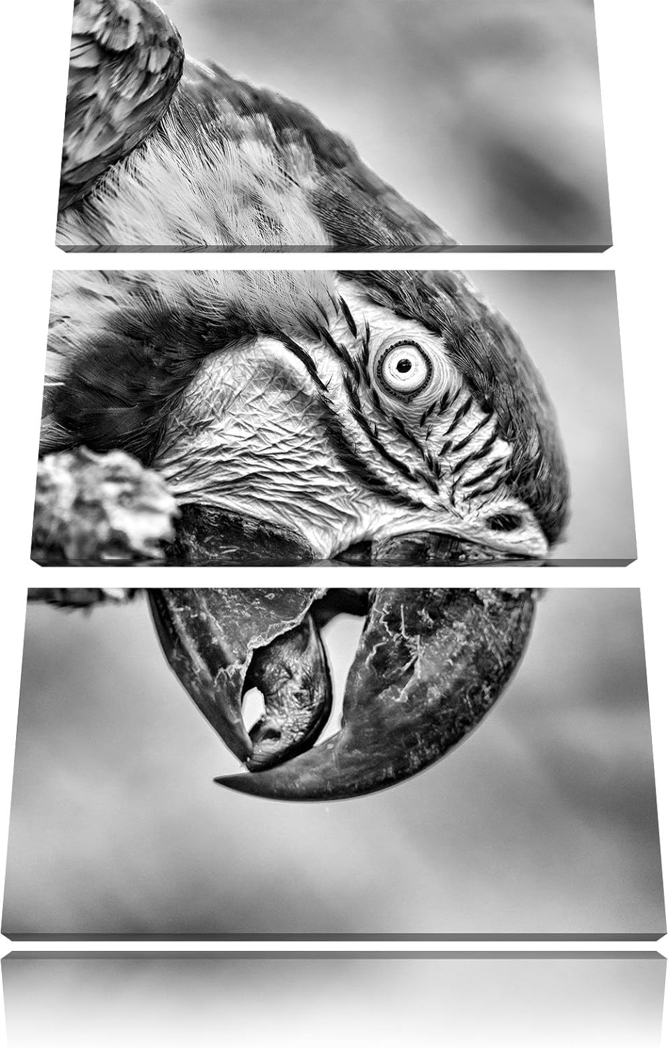 Pixxprint schöner Gelbbrustara als Leinwandbild/Grösse: 3 Teilig (120x80) cm/Wandbild/Kunstdruck/fer