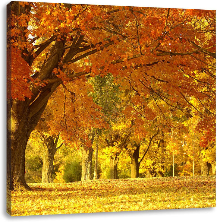 schöne Herbstlandschaft, Format: 70x70 auf Leinwand, XXL riesige Bilder fertig gerahmt mit Keilrahme