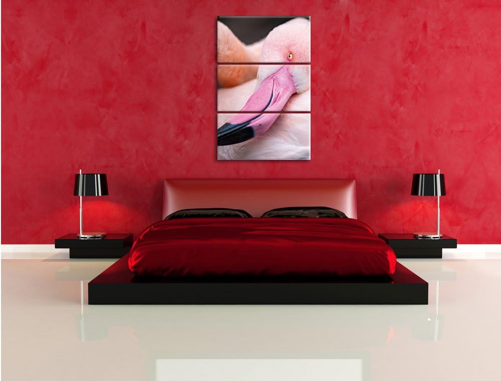 Pixxprint Aufblühende Sonnenblume als Leinwandbild/Grösse: 3 Teilig (120x80) / Wandbild/Kunstdruck/f