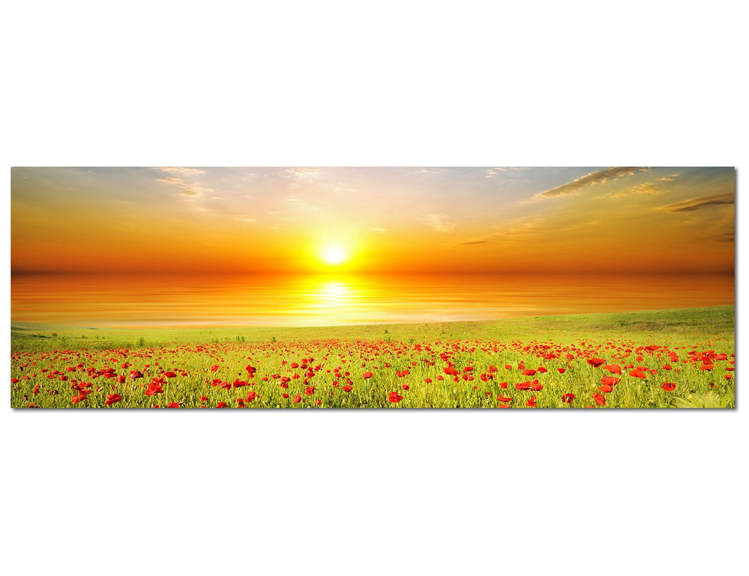 Paul Sinus Art Panoramabild auf Leinwand und Keilrahmen 120x40cm Mohnblumen Feld Frühling Sonnenunte