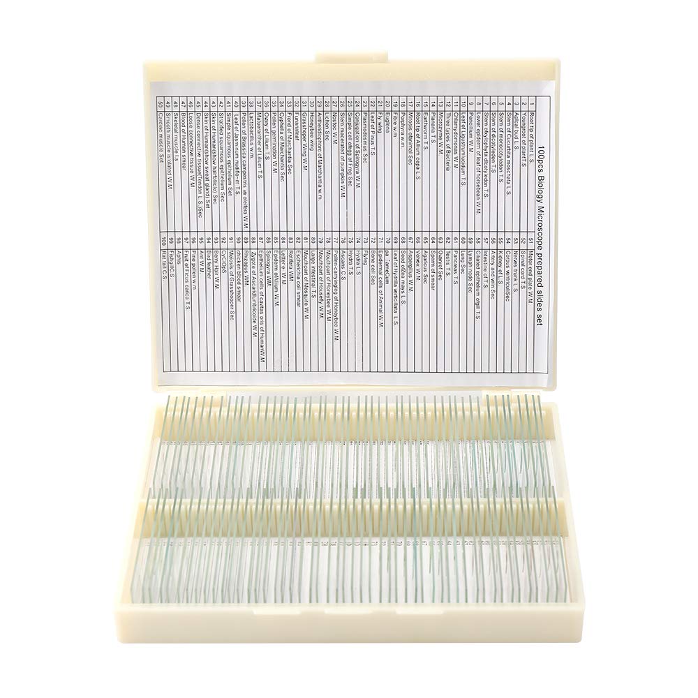 25PCS Vorbereitete Mikroskop-Objektträger-Set, Mikroskop-Objektträger mit hölzerner Dia-Aufbewahrung