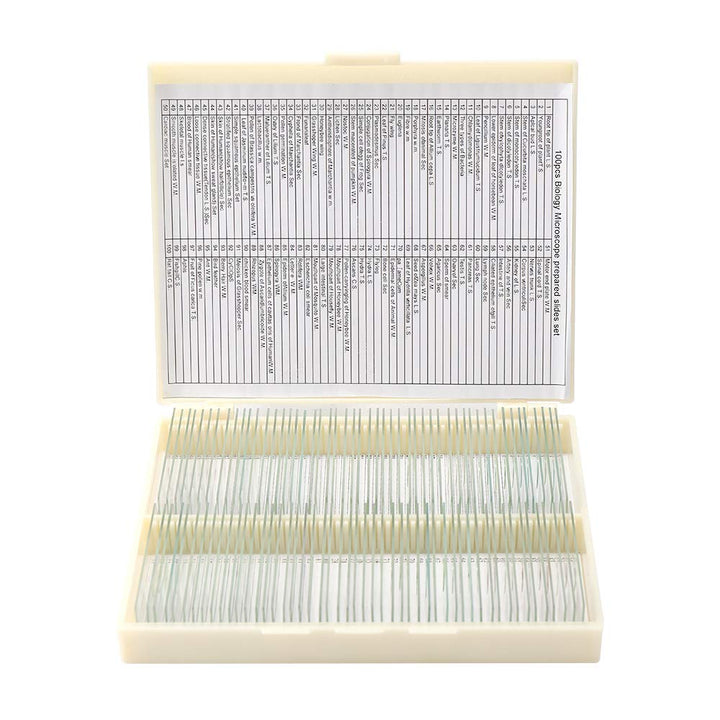 25PCS Vorbereitete Mikroskop-Objektträger-Set, Mikroskop-Objektträger mit hölzerner Dia-Aufbewahrung