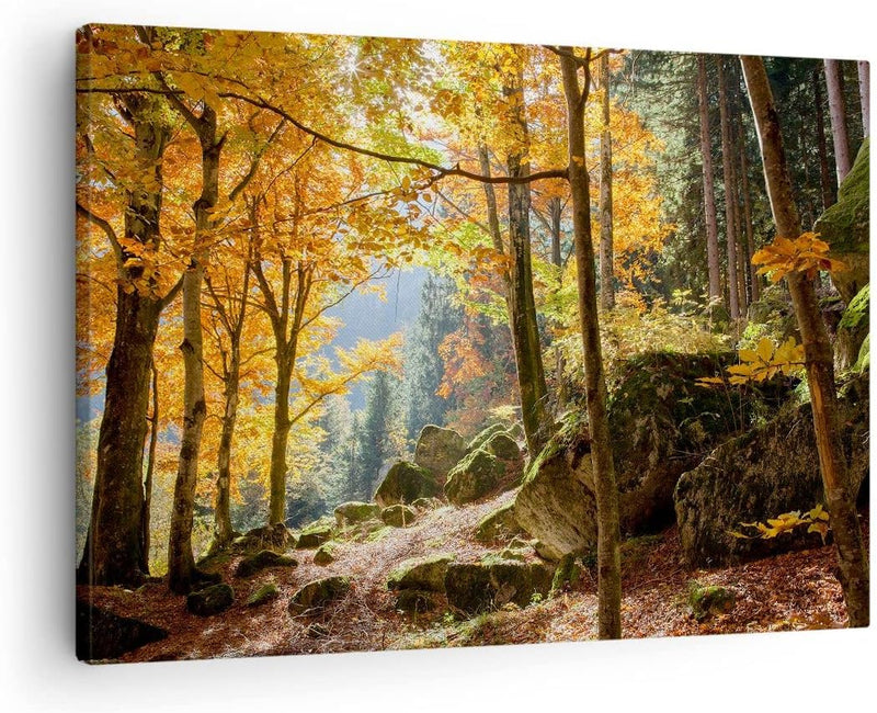 ARTTOR Bilder auf Leinwand Herbst berg wald natur Leinwandbild 70x50cm Wandbilder Dekoration Wohnzim