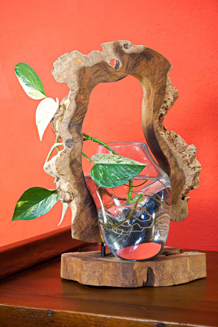 Kinaree Geschmolzenes Glas auf Wurzelholz - Glasschale auf Wurzel - Teak Holz mit Glasvase oder Scha