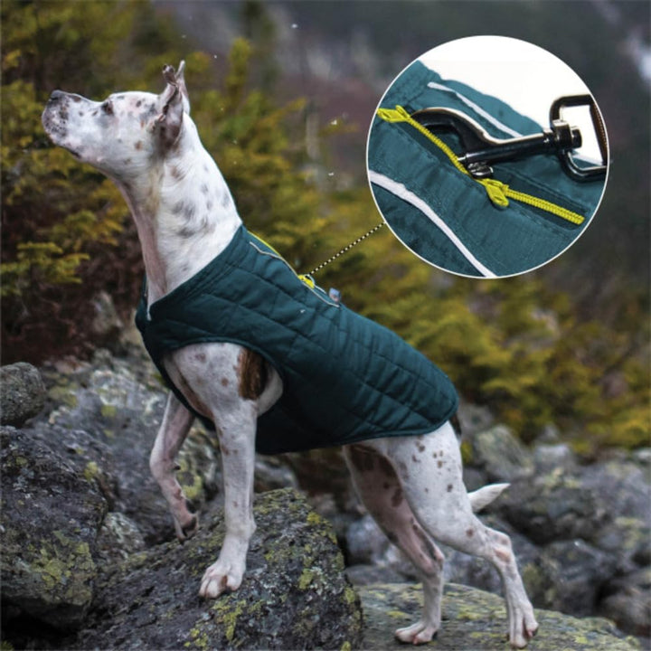 Kurgo Loft Hundejacke, Mit Hundegeschirr kombinierbar, Wasserdicht und reflektierend, Ideal für den