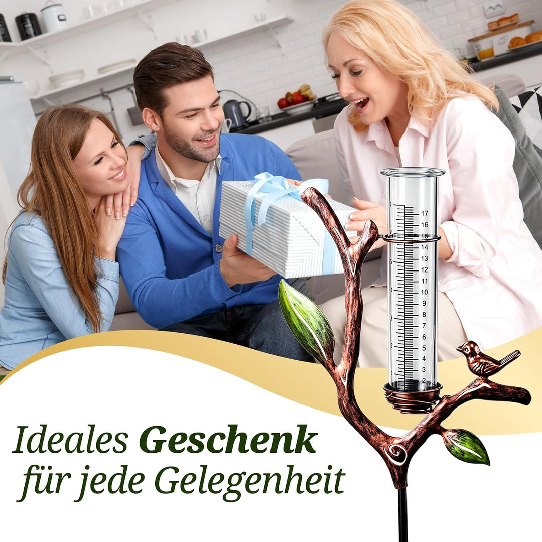 Regenmesser für Garten, Niederschlagsmesser Garten | Regenmesser mit h-förmigem Metallständer für Ga