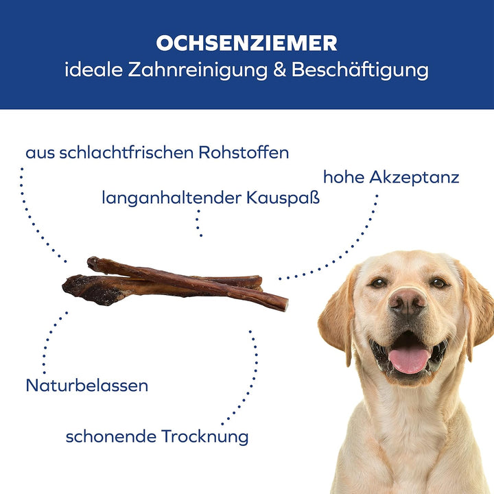 Ochsenziemer für Hunde – 30cm grosse Kauartikel - 2 Stck. für langanhaltenden Kauspass 150 g (1er Pa