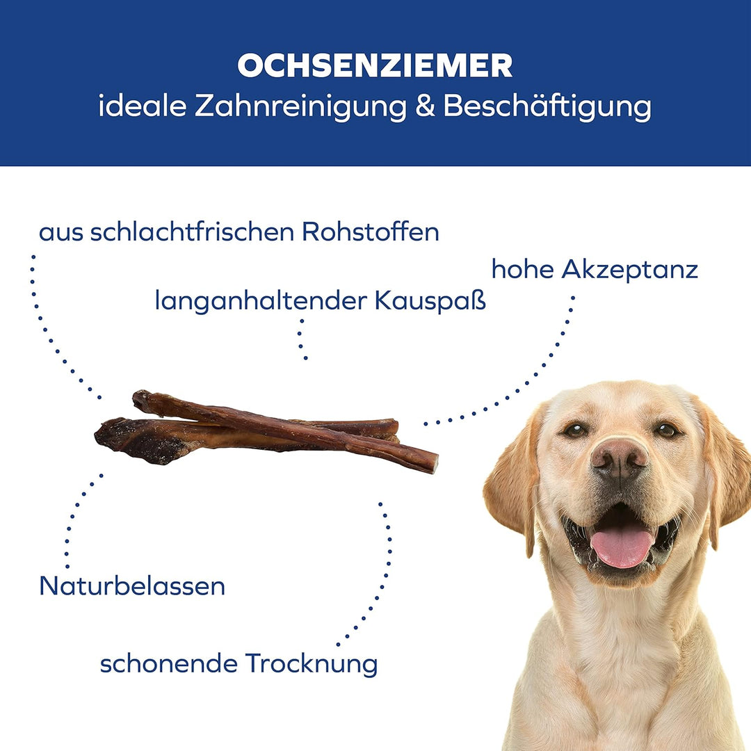 Ochsenziemer für Hunde – 12cm grosse Kauartikel - 5 Stck. für langanhaltenden Kauspass 150 g (1er Pa