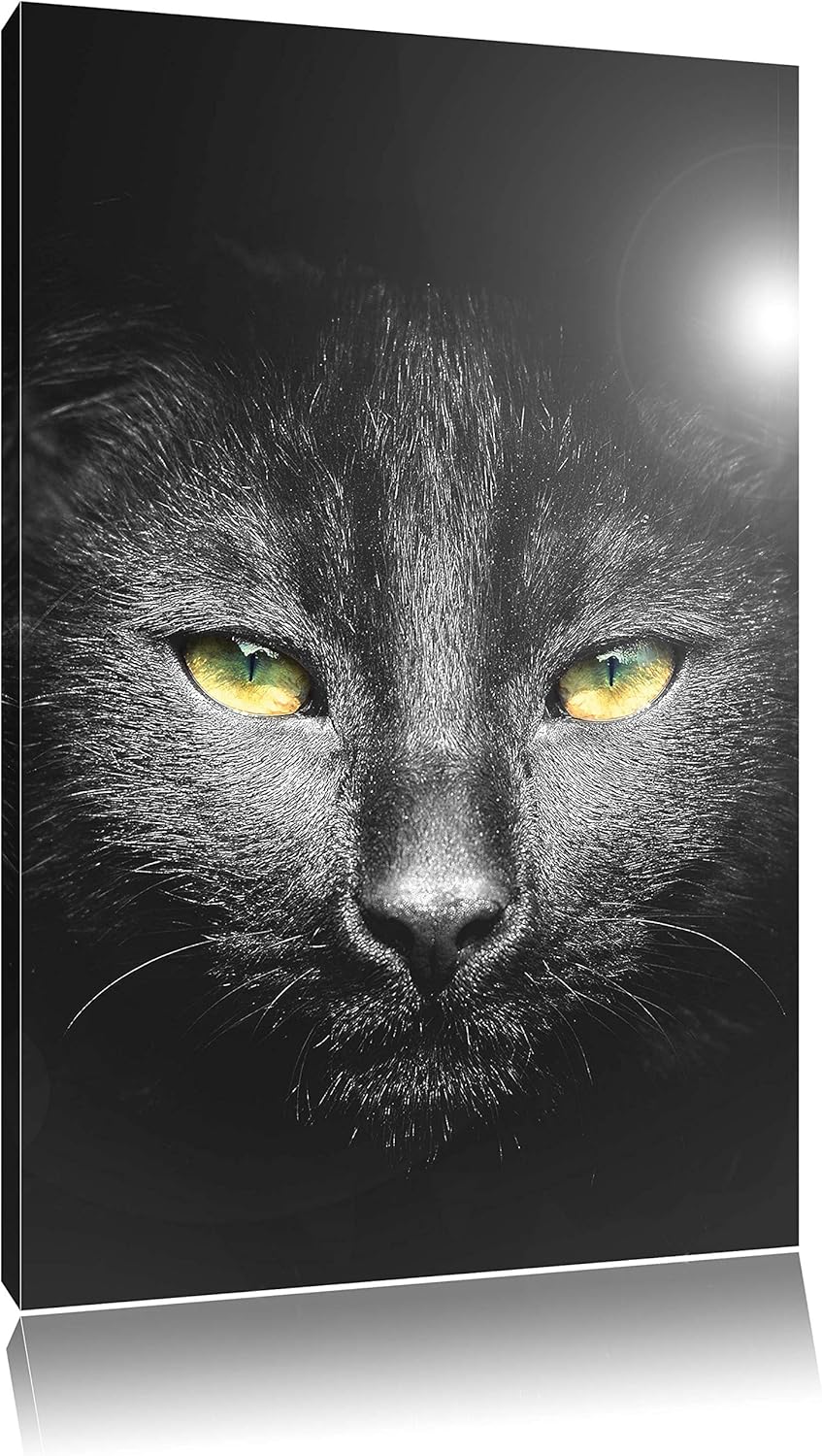 Pixxprint Katzenkopf mit düsterem Hintergrund als Leinwandbild/Grösse: 100x70 cm/Wandbild/Kunstdruck