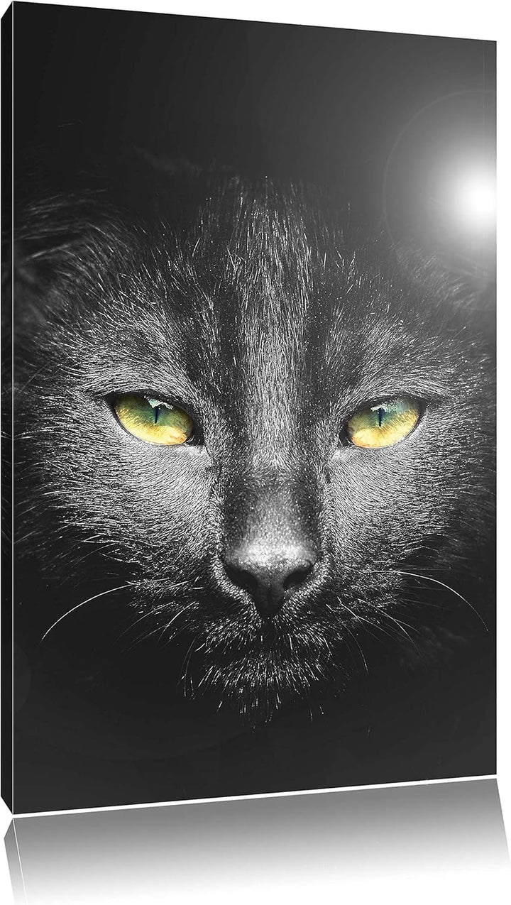 Pixxprint Katzenkopf mit düsterem Hintergrund als Leinwandbild/Grösse: 100x70 cm/Wandbild/Kunstdruck