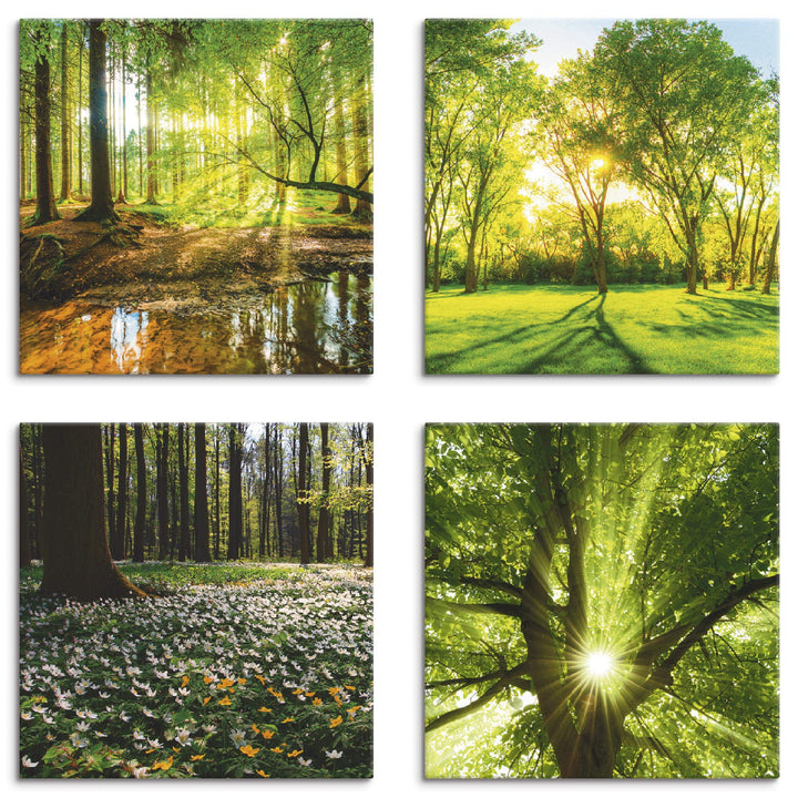 ARTLAND Leinwandbilder auf Holz Wandbild Bild Set 4 teilig je 30x30 cm Quadratisch Landschaft Wald G