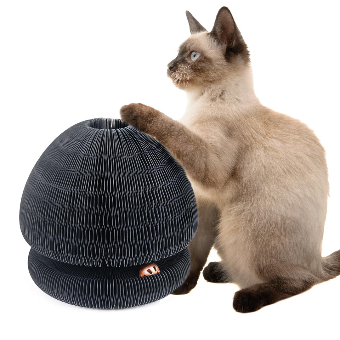 CanadianCat Company | Kratzspielzeug Champi - Kratzpappe mit Spielbällen, Spielschiene für Katzen -