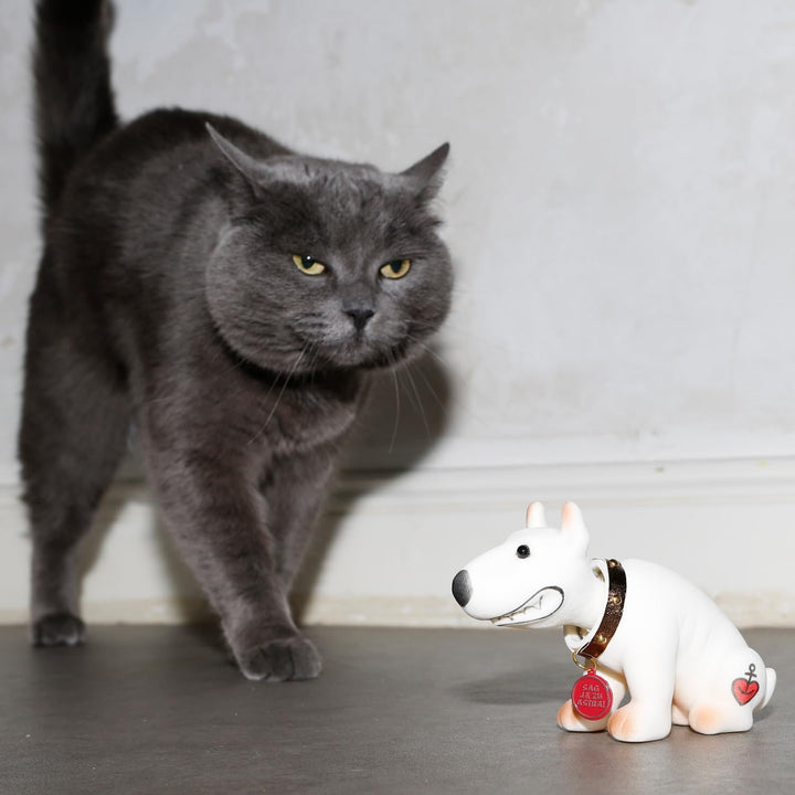 ASTRA Wackel-Bulli, witzige Bullterrier Figur mit Wackel-Kopf, Kleiner Pitbull als Geschenkidee für