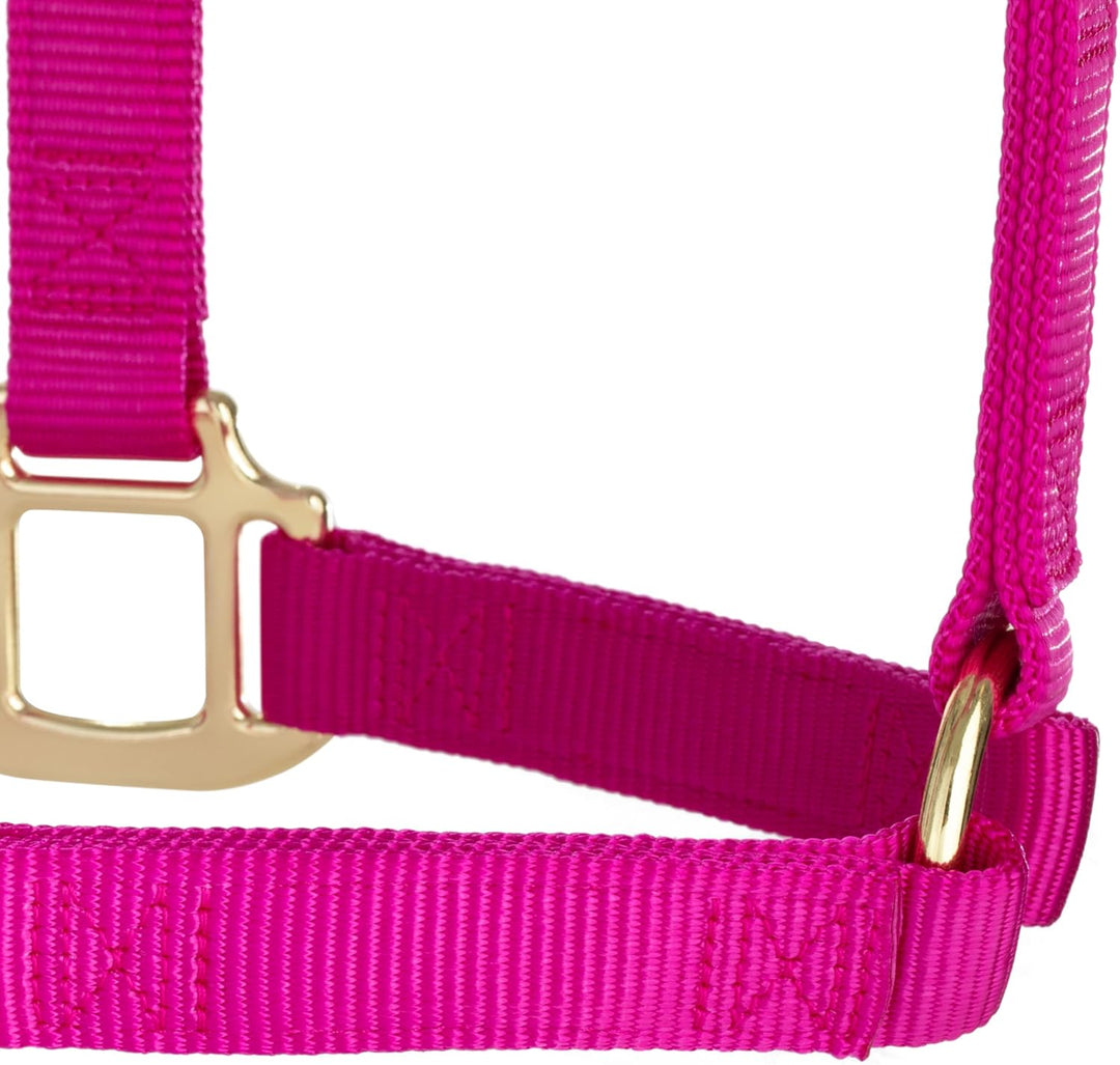 Weaver Leather, nicht verstellbares Halfter Himbeere Average Horse, Himbeere Average Horse