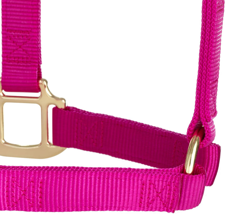 Weaver Leather, nicht verstellbares Halfter Himbeere Average Horse, Himbeere Average Horse
