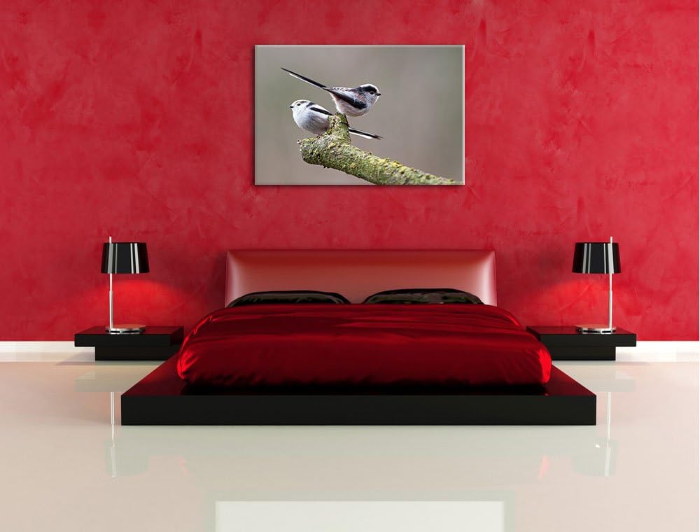 zwei Schwanzmeisen auf einem Ast Leinwand, XXL riesige Bilder fertig gerahmt mit Keilrahmen, Kunstdr