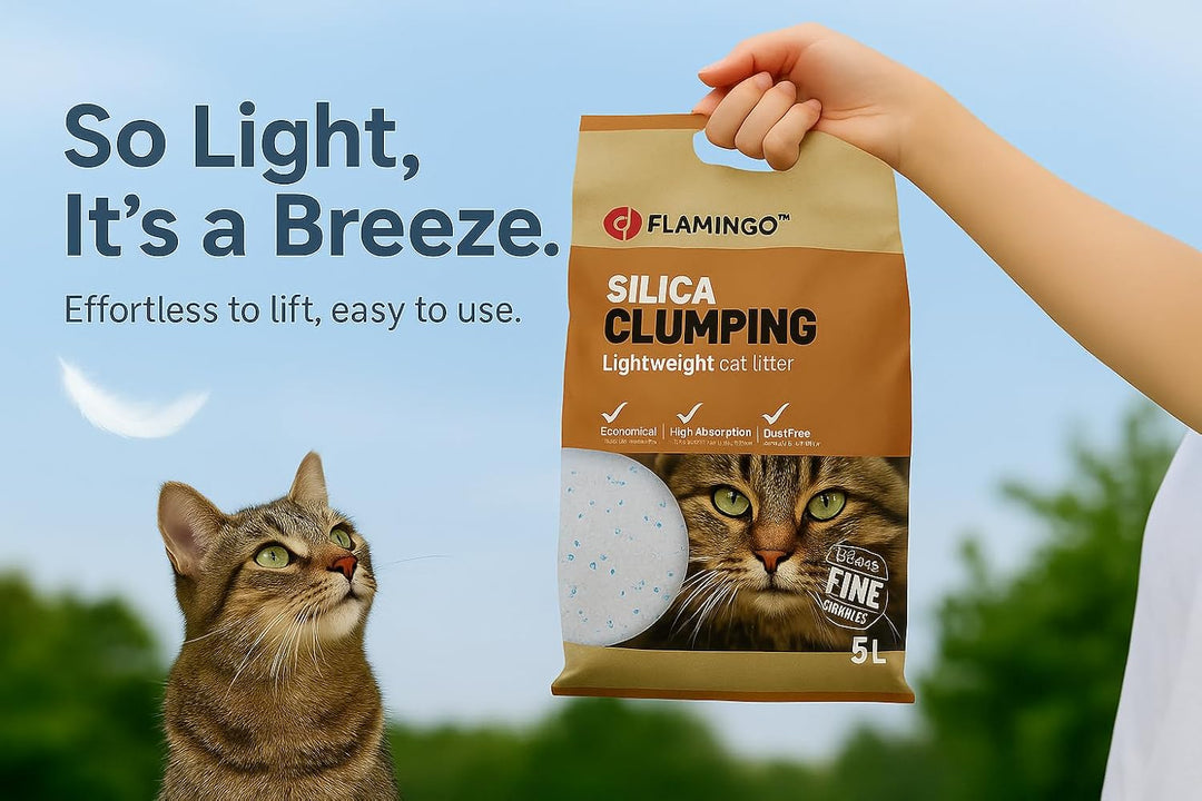 Flamingo Katzenstreu – neutraler Duft – Kohlegranulat – 5 l für 6 Wochen – Herkunft aus Kanada – neu
