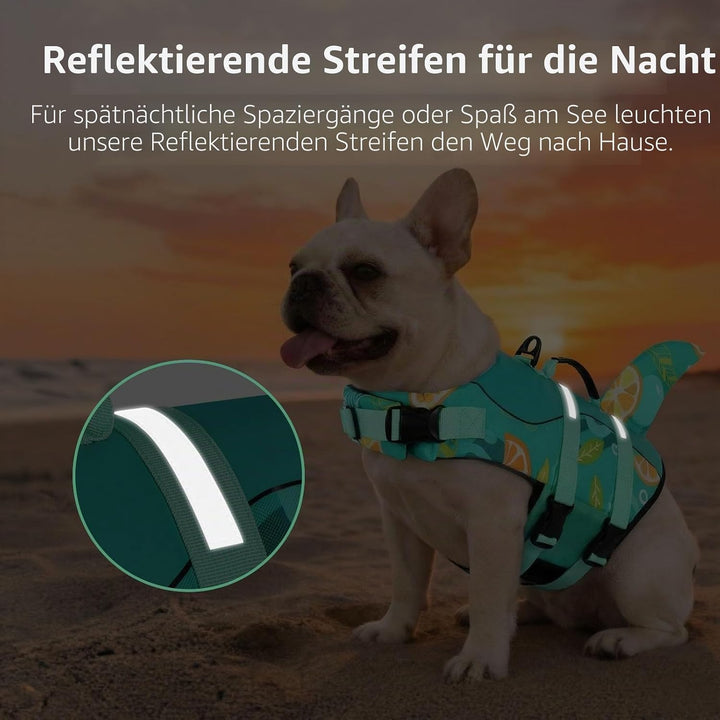 CITÉTOILE Schwimmweste Hunde Hai, Leicht und Sicher für Wassersport, hundeschwimmweste mit Griff und