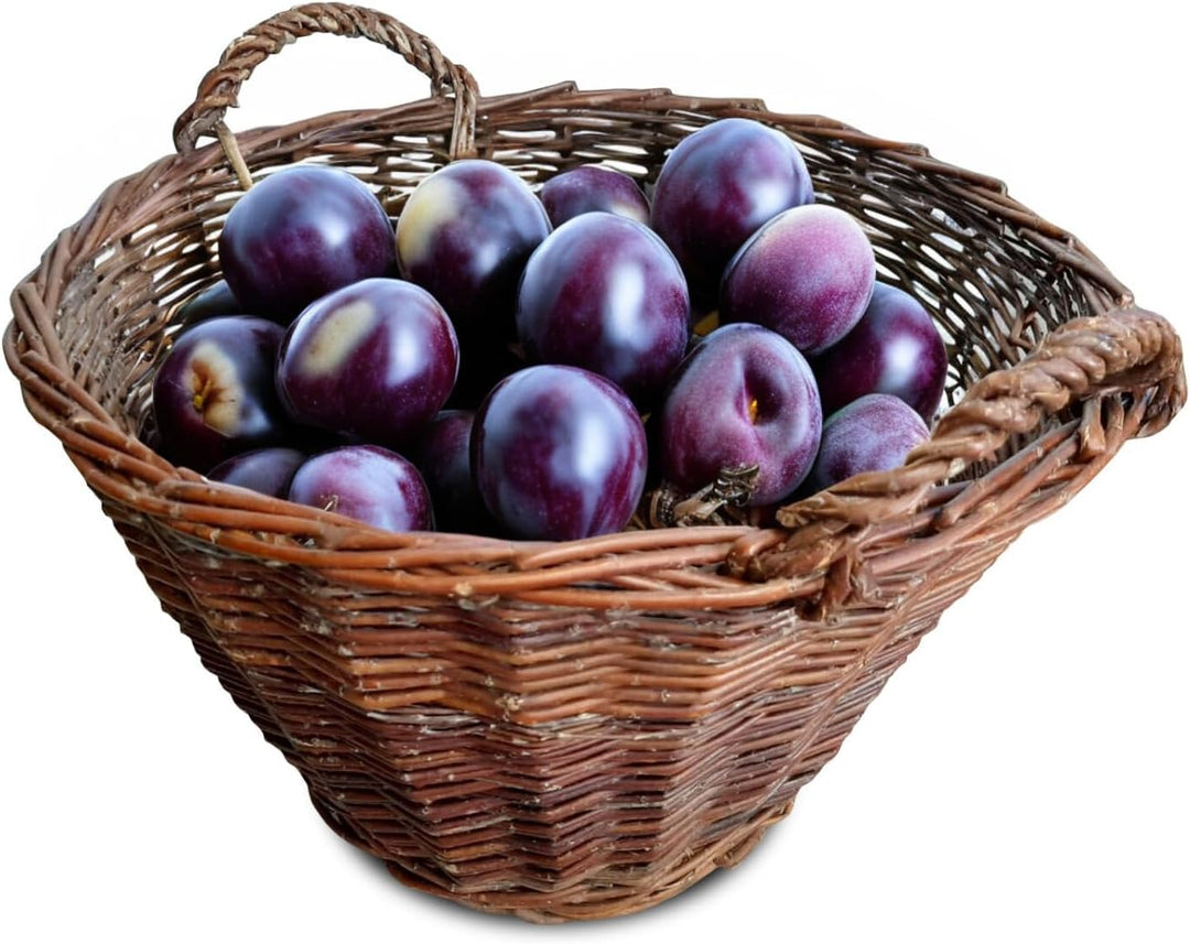 Ø 50 cm Weidenkorb mit Henkel 3 Grössen Erntekorb Kartoffelkorb Natürlicher Aufbewahrungskorb Obstko