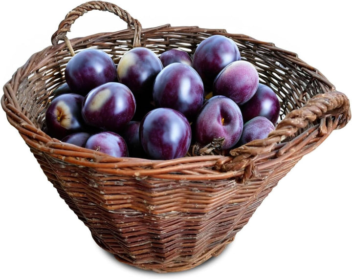 Ø 50 cm Weidenkorb mit Henkel 3 Grössen Erntekorb Kartoffelkorb Natürlicher Aufbewahrungskorb Obstko