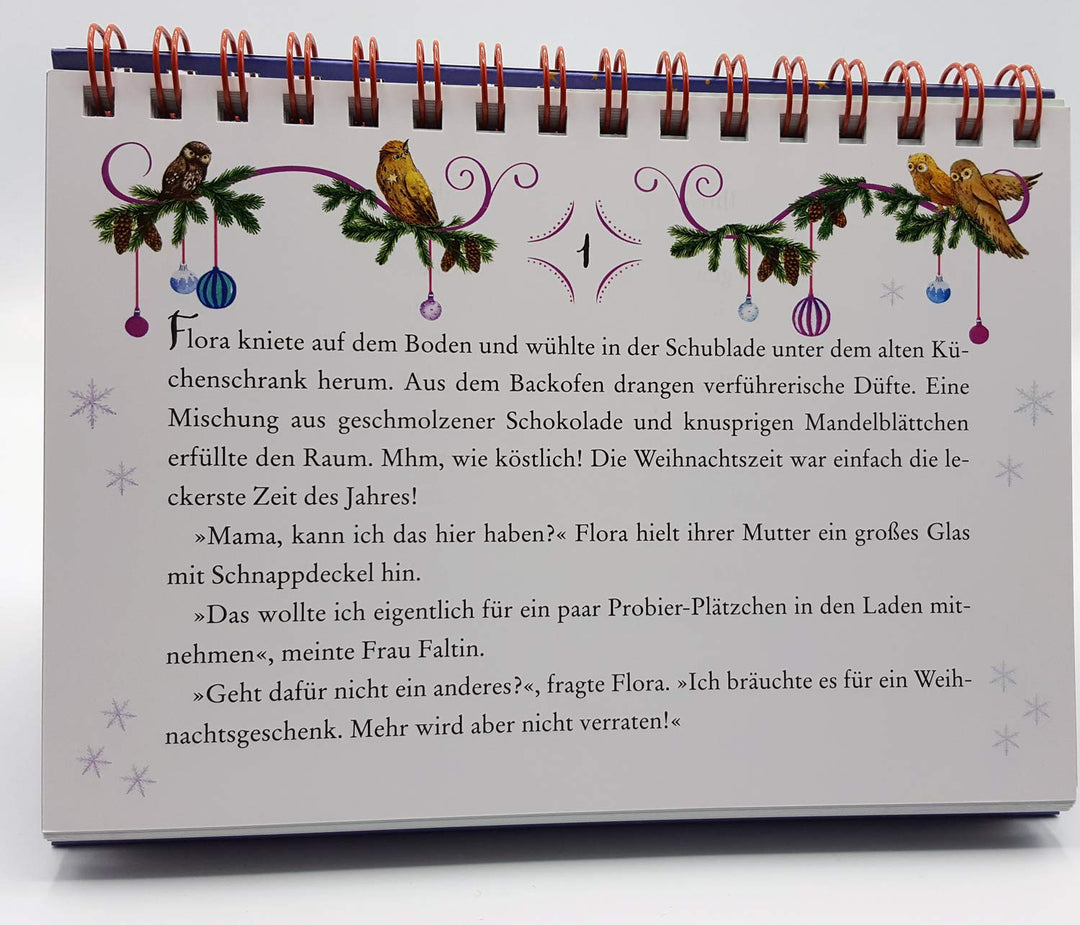 Eulenzauber. Funkelnde Weihnachtswünsche: Eine Adventskalender-Geschichte zum Aufstellen mit XXL-Pos