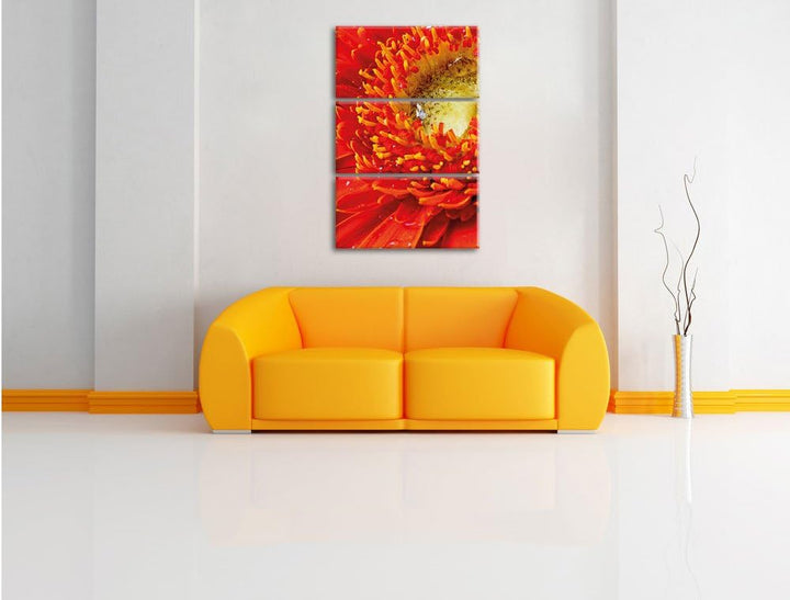 Pixxprint Gerbera Sonne Gras Blumen / 3-Teilig/Gesamtmass 120cm Leinwandbild bespannt auf Holzrahmen