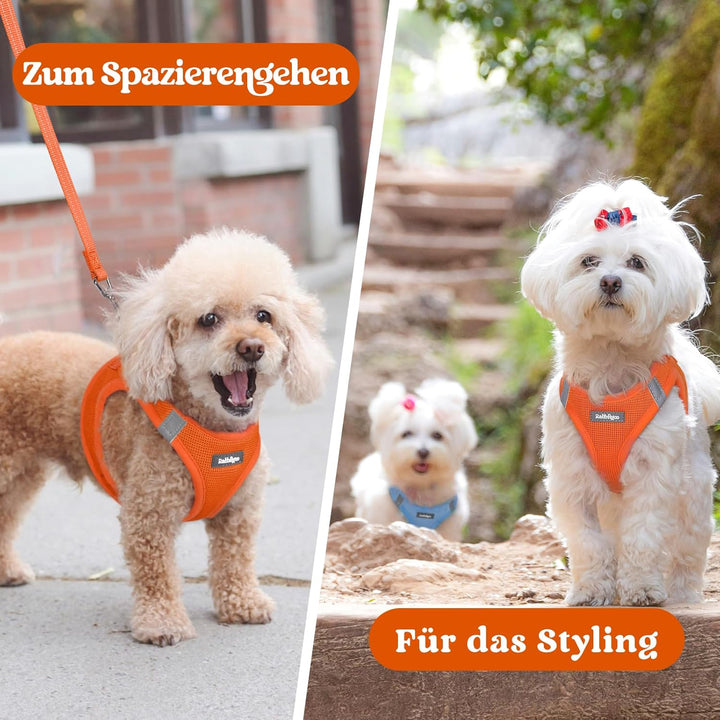 rabbitgoo Hundegeschirr Kleine Hunde, Step-in Welpengeschirr Weich Mesh für Spaziergänge, Atmungsakt