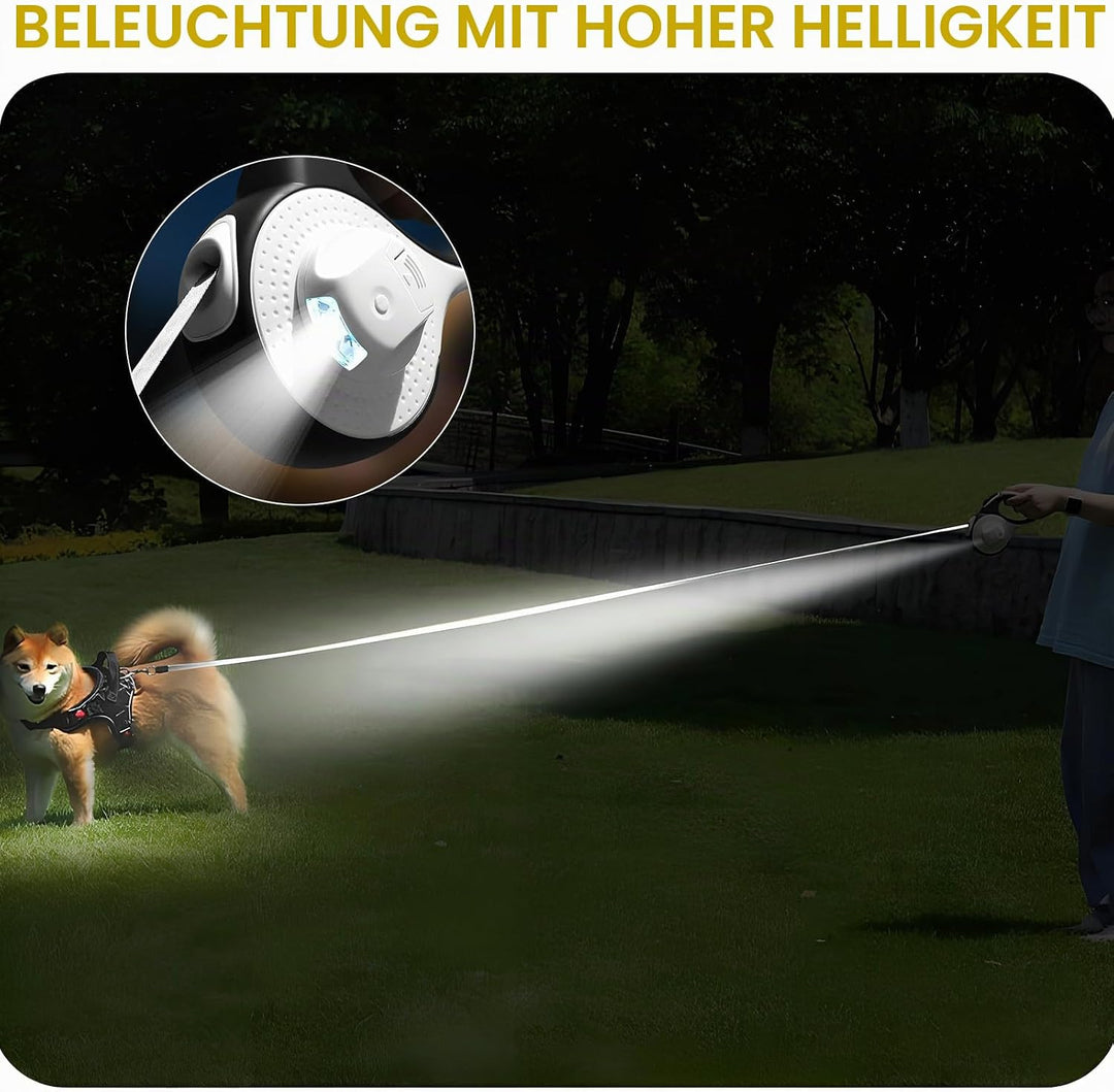 Rollleine Hundeleine 3m für Katzen &amp; kleine Hunde | Hochwertige Hundeleine ausziehbar mit LED Licht