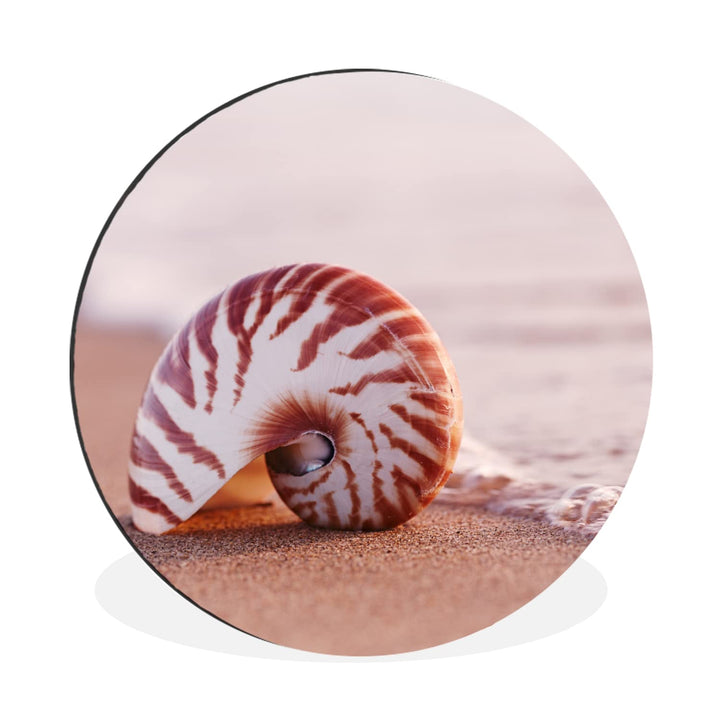 Wandbild Rund Wanddeko Deko Wohnzimmer Bilder 90x90 cm Muschel - Strand - Meer - Sand