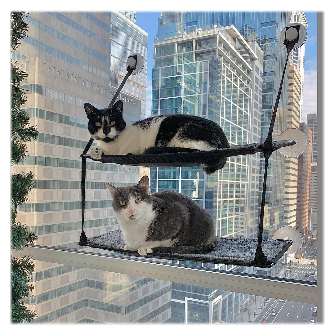 K&H 779092 EZ Easy Window Mount Kitty Sill, am Fenster zu befestigendes Katzenbett mit Zwei Ebenen D