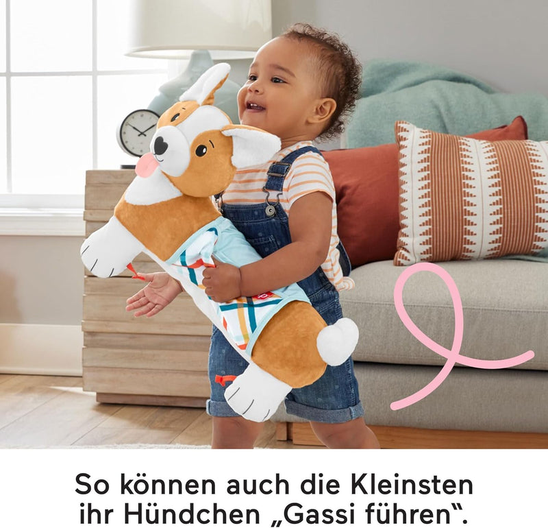 Fisher-Price HJW10 - Baby-Spielzeug zum Spielen in der Bauchlage, 3-in-1 Hündchen Spielkissen mit BP