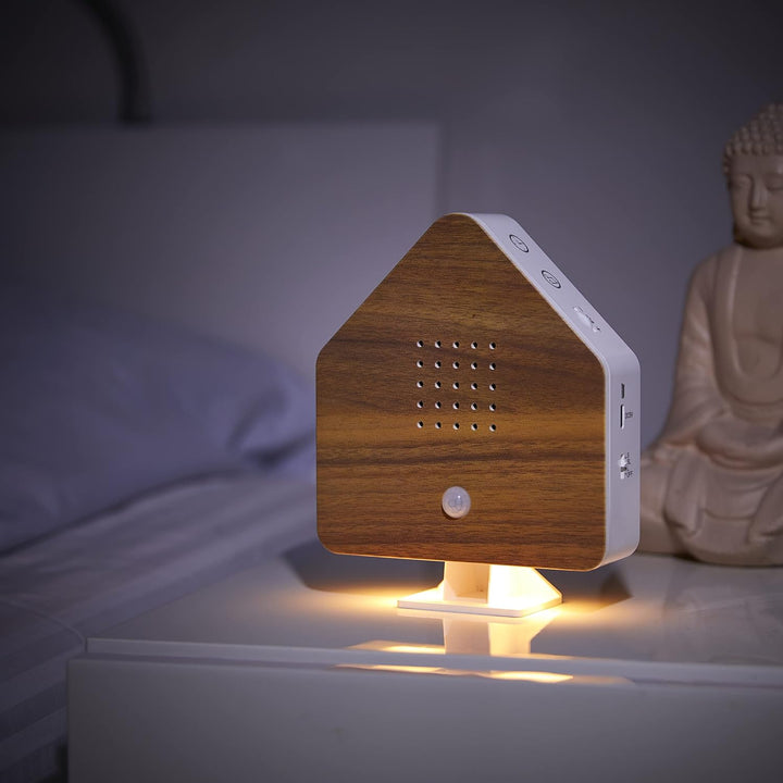 Northpoint Naturgeräuschebox Vogel Gesang Vogelzwitscher Box Bewegungsmelder Vogelgeräusche Licht Au