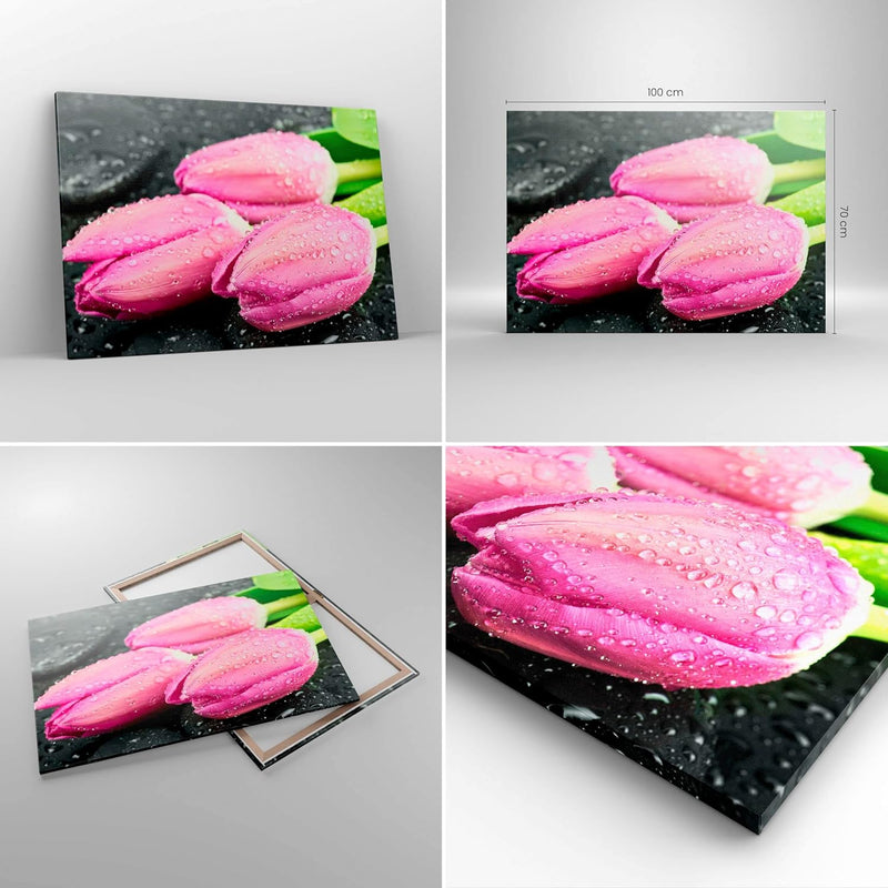 Bilder auf Leinwand 100x70cm Leinwandbild Tulpen Tau Steine Pflanze Gross Wanddeko Bild Schlafzimmer