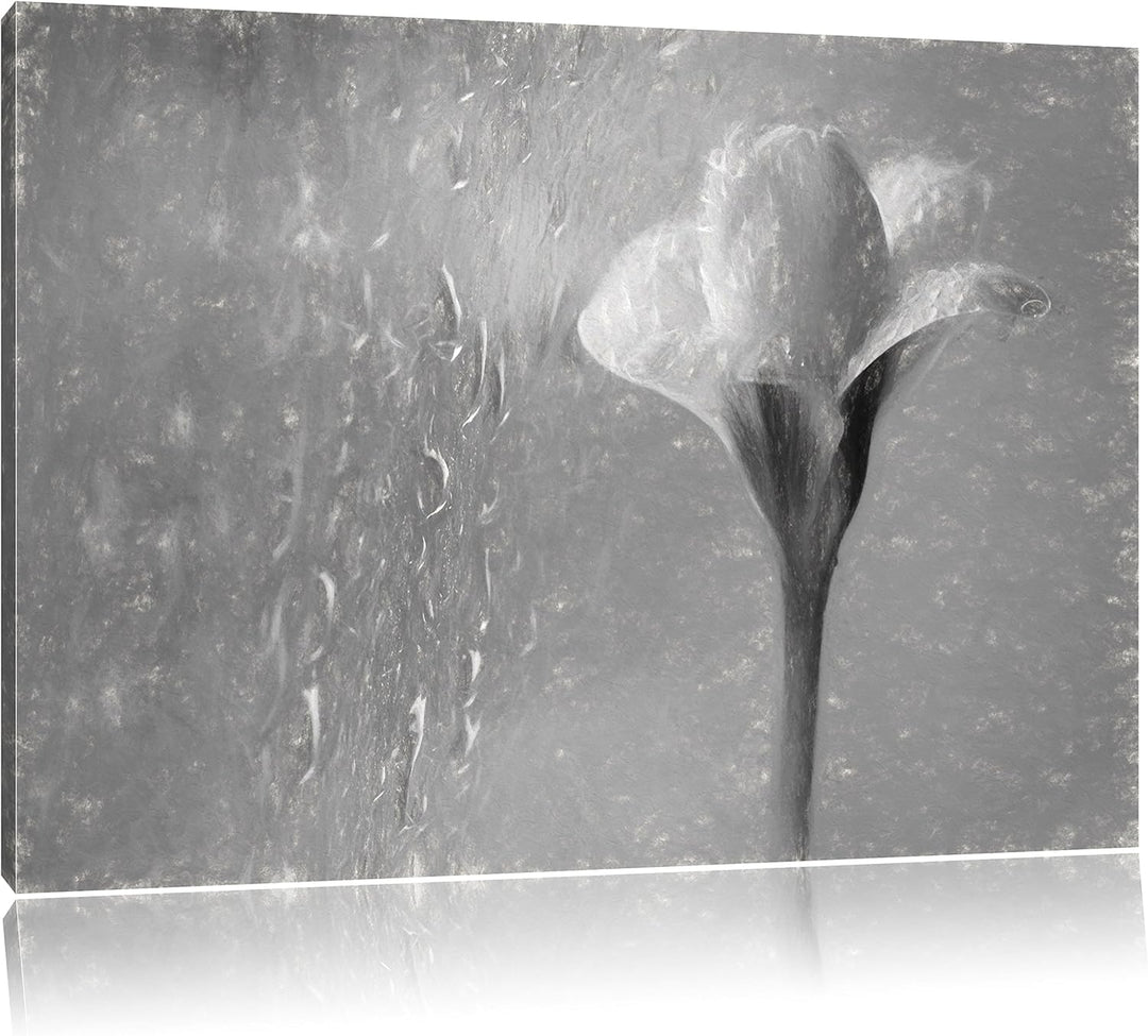 Pixxprint Frühlingsblume Tautropfen als Leinwandbild/Grösse: 100x70 cm/Wandbild/Kunstdruck/fertig be