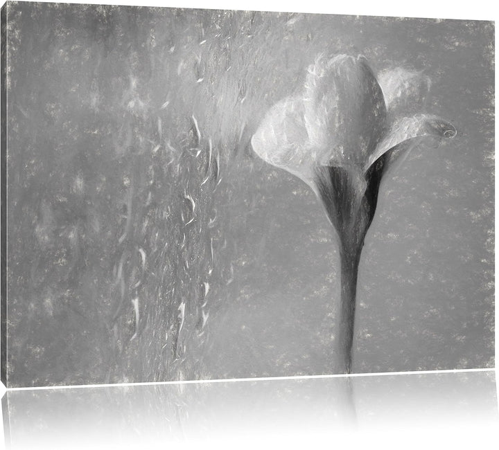 Pixxprint Frühlingsblume Tautropfen als Leinwandbild/Grösse: 100x70 cm/Wandbild/Kunstdruck/fertig be