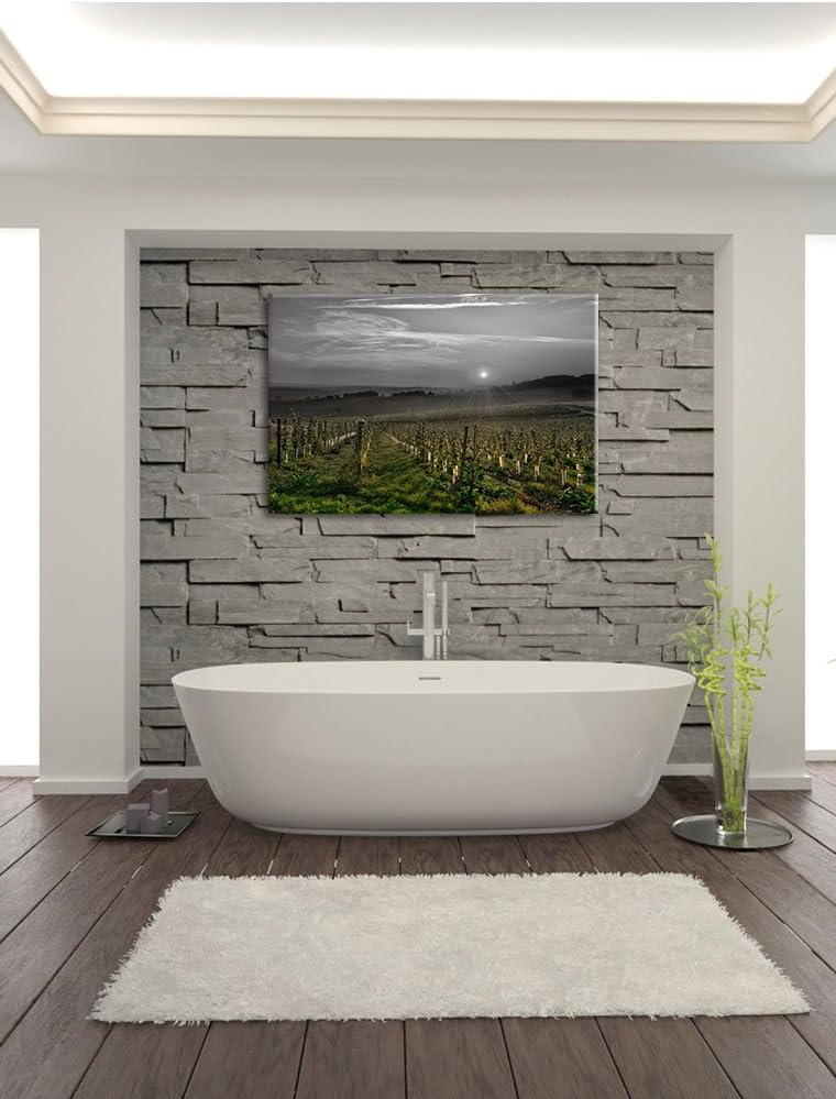 Pixxprint Weinberg in Bergerac Frankreich als Leinwandbild/Grösse: 100x70 cm/Wandbild/Kunstdruck/fer