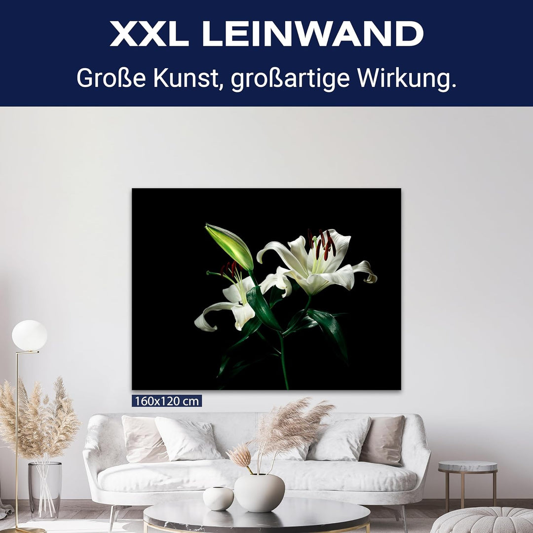 wandmotiv24 Leinwandbild Natur, 80x60cm, Querformat, Blumen, Deko, Bilder auf Leinwand, Wanddeko, XX