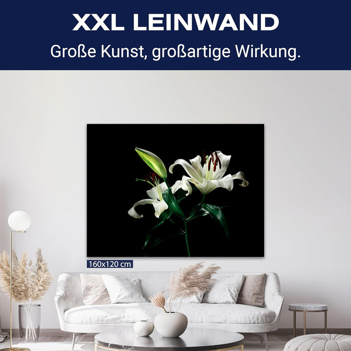 wandmotiv24 Leinwandbild Natur, 80x60cm, Querformat, Blumen, Deko, Bilder auf Leinwand, Wanddeko, XX