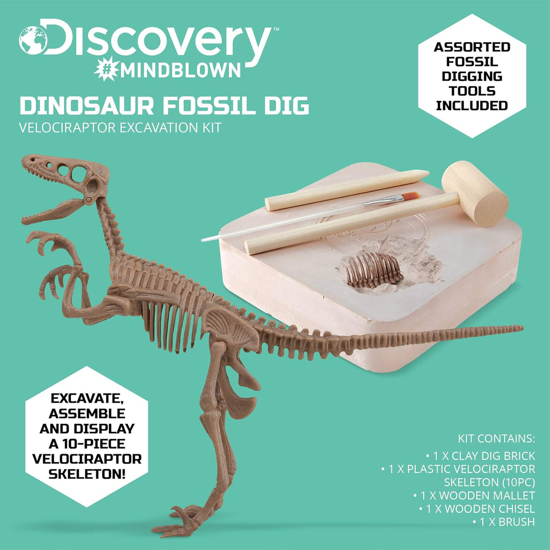Discovery #Mindblown 1423004881 - Dinosaur Fossil Dig Velociraptor - Ausgrabungsset Dinosaurier - fü