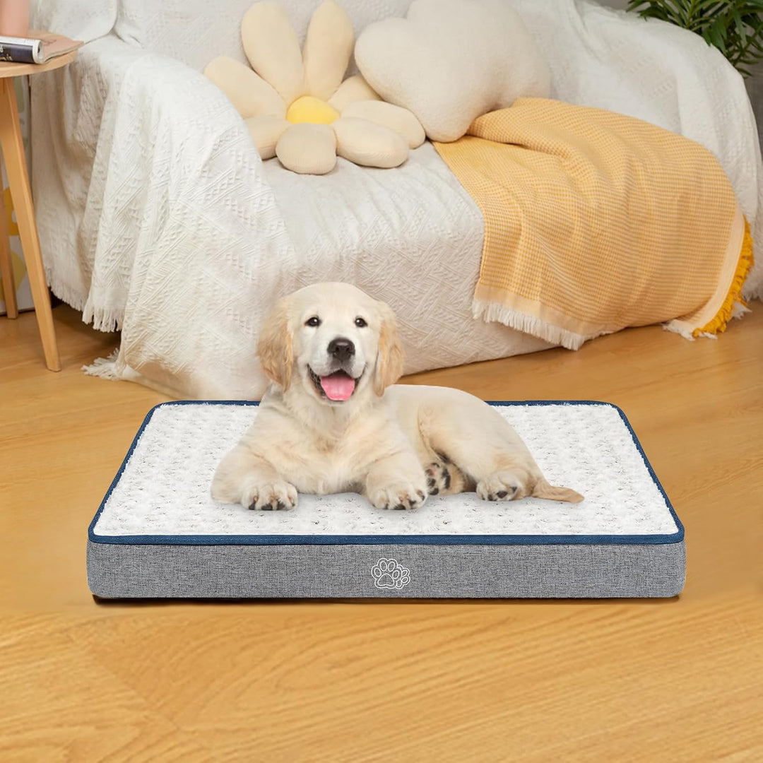 EMPSIGN Hundekissen Mittelgrosse Hunde waschbar, Hundebett Wasserdicht M 76x50x7,5cm, Hundematte Abn